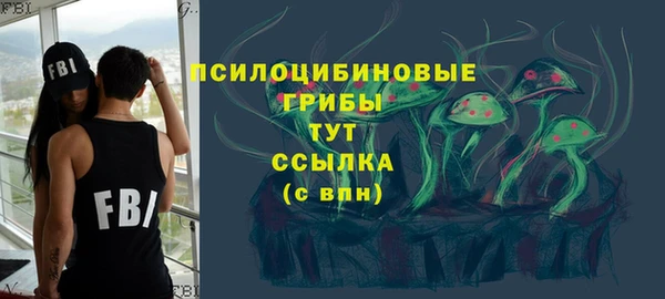 мяу мяу кристалл Гусь-Хрустальный