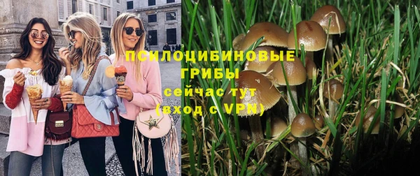 наркотики Белая Холуница