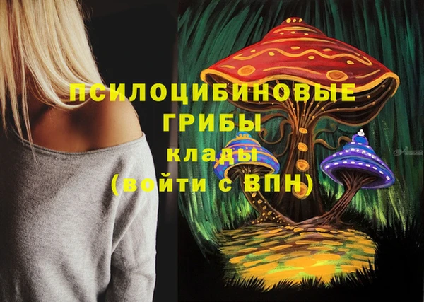 трава Бикин