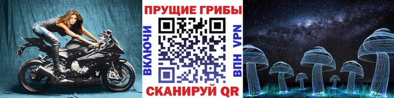 Галлюциногенные грибы Psilocybe  Всеволожск 