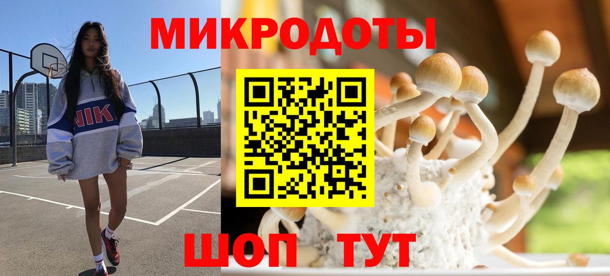 Псилоцибиновые грибы Magic Shrooms Всеволожск