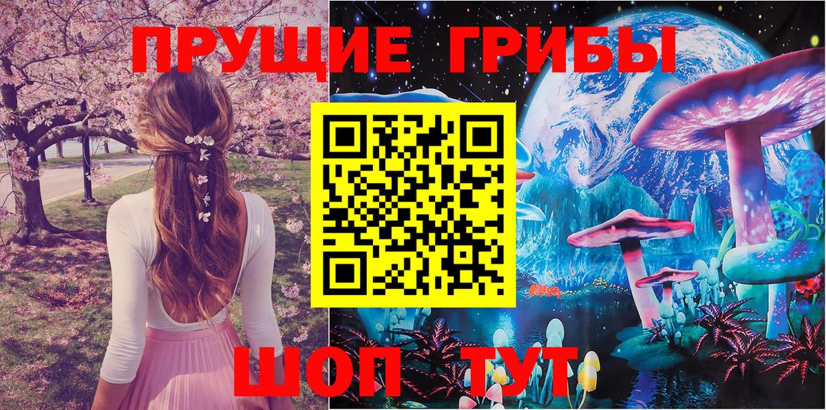 Всеволожск  Галлюциногенные грибы Cubensis  магазин продажи наркотиков  Вход с VPN 